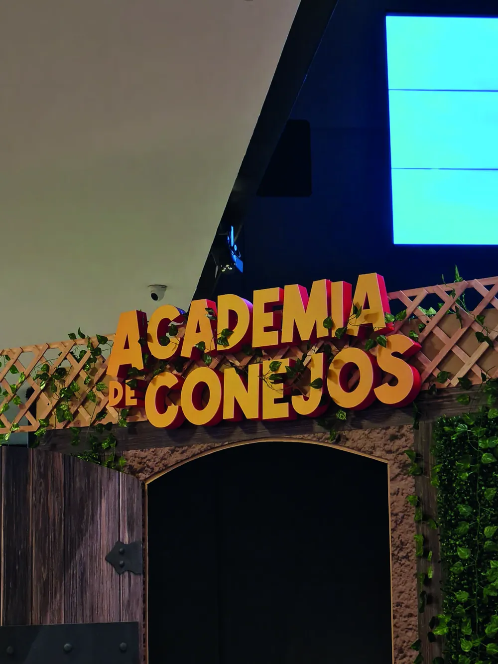 Proyecto Corpóreo 13