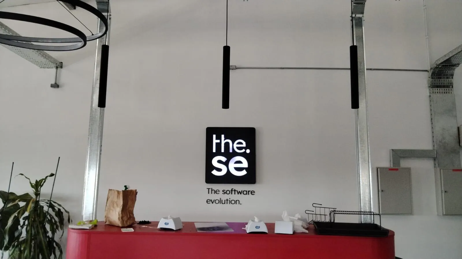 Proyecto Corpóreo 18