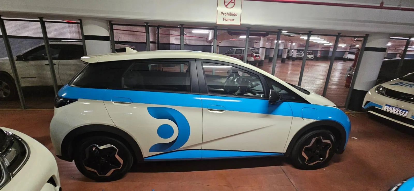 Proyecto Ploteo Vehicular 12