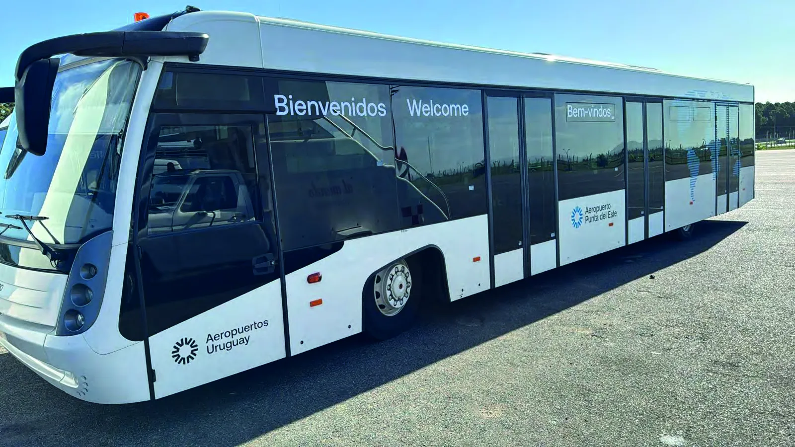 Proyecto Ploteo Vehicular 9